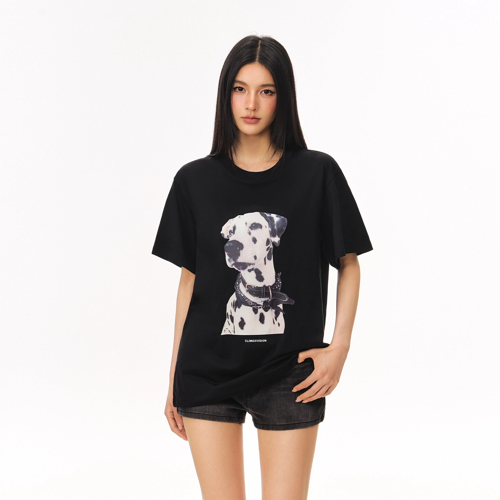 CLIMAX VISION T