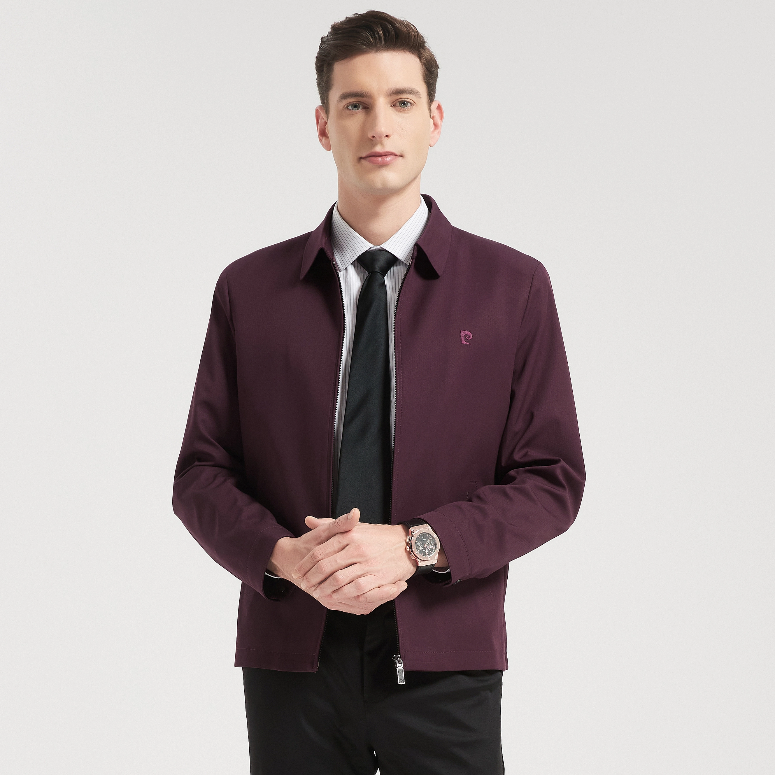 PIERRE CARDIN LOGO
