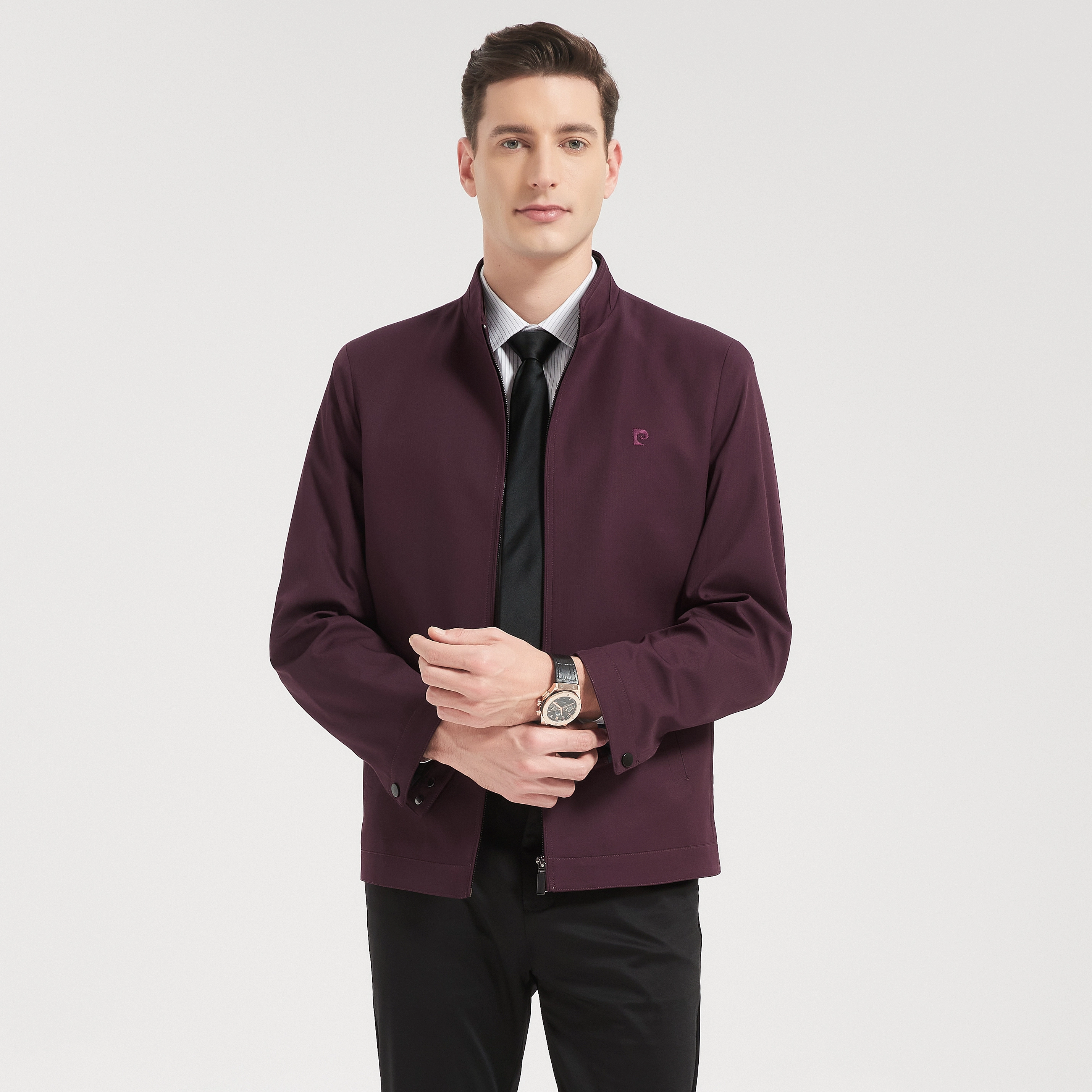 PIERRE CARDIN LOGO