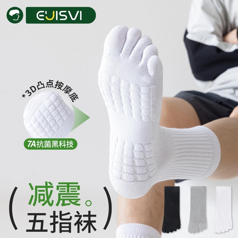 euisvi 4