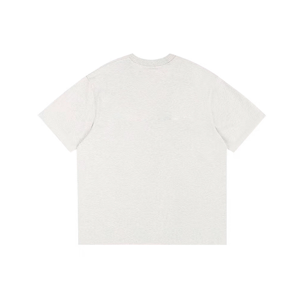 PUNCTILIOUS T