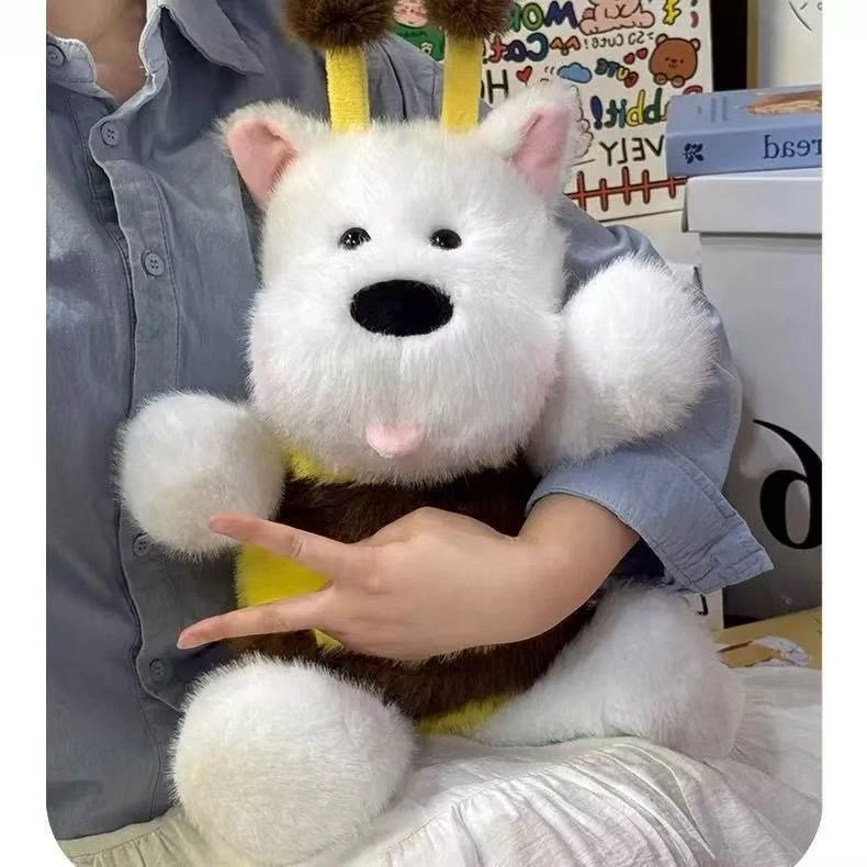 45cm60cm