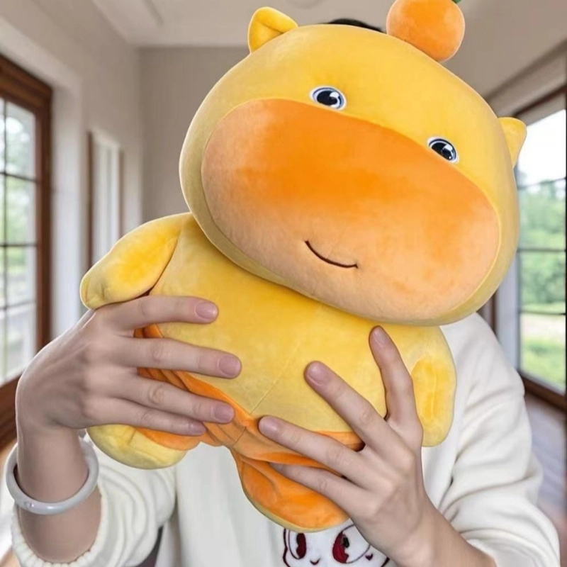 25cm35cm