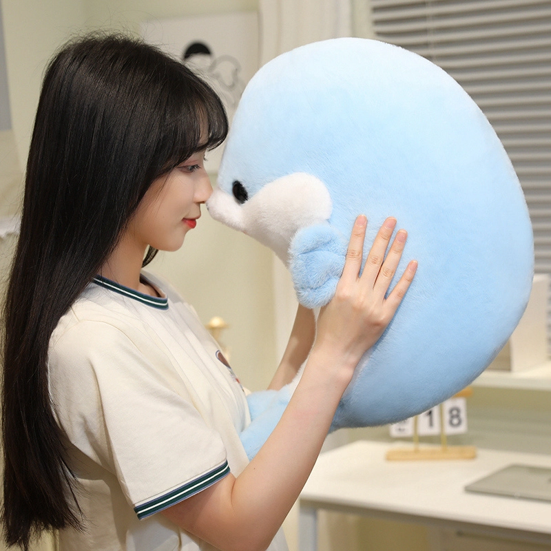 35cm50cm