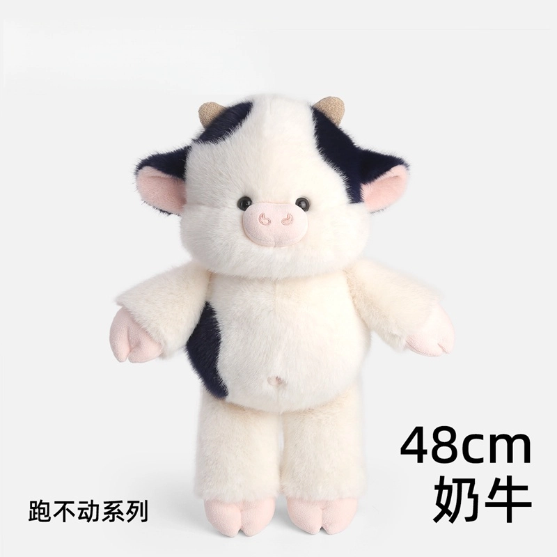 48cm