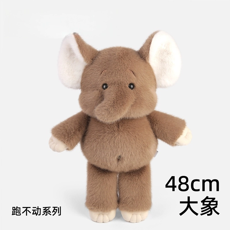 48cm