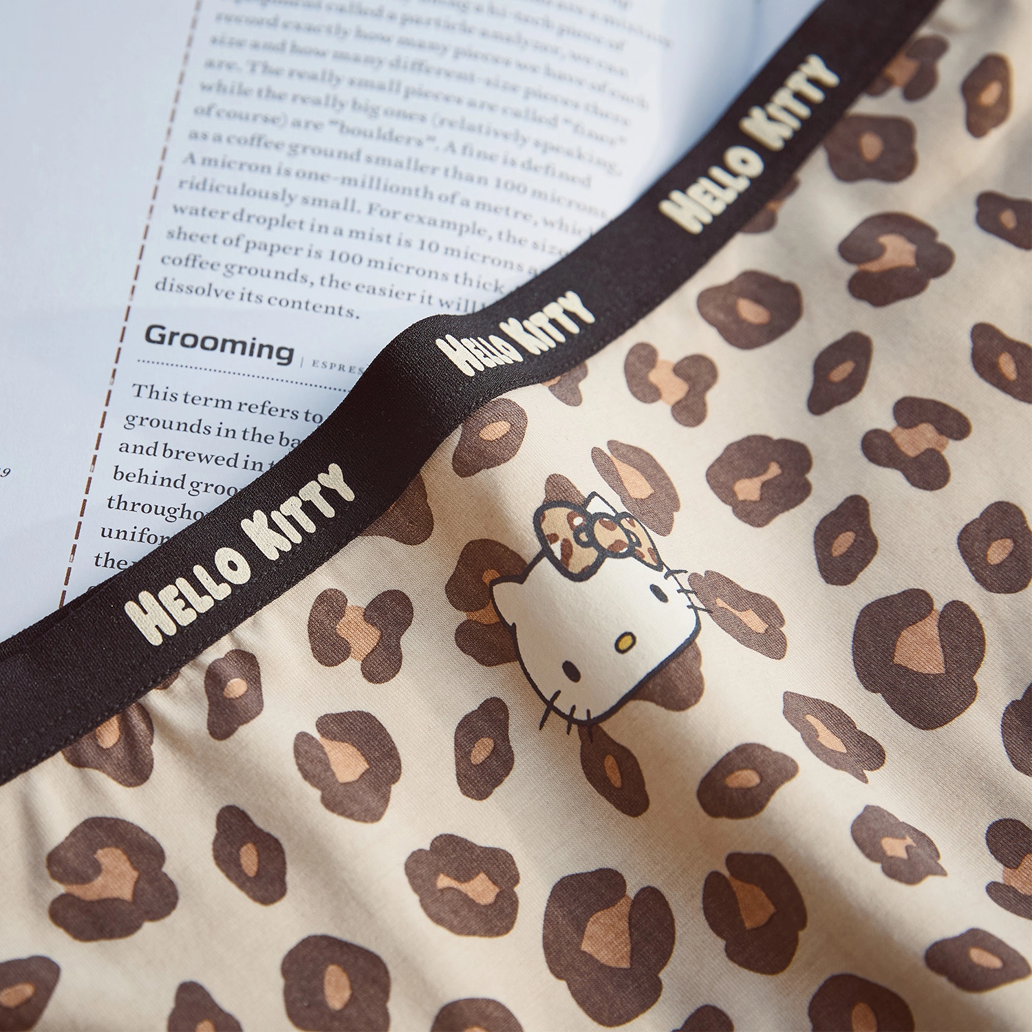 GUKOO x Hello Kitty 3