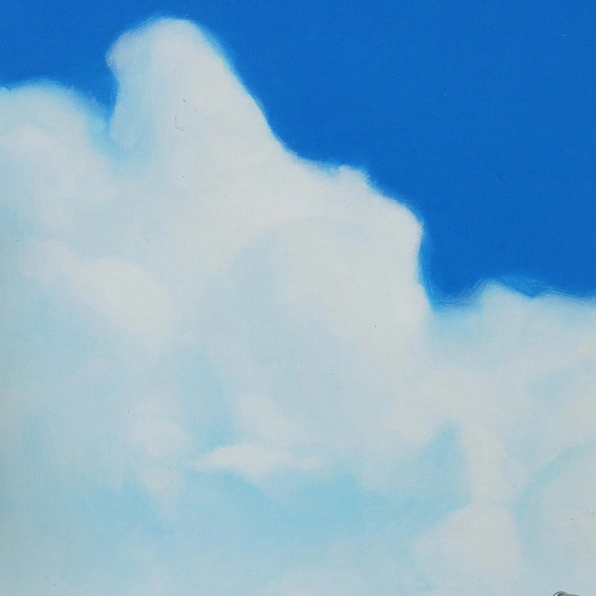 -274 25*30cm