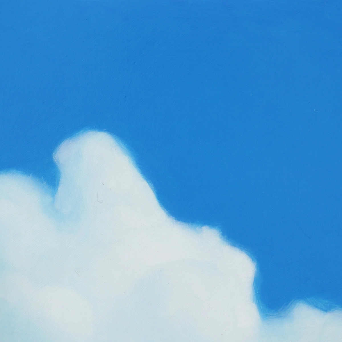 -274 25*30cm