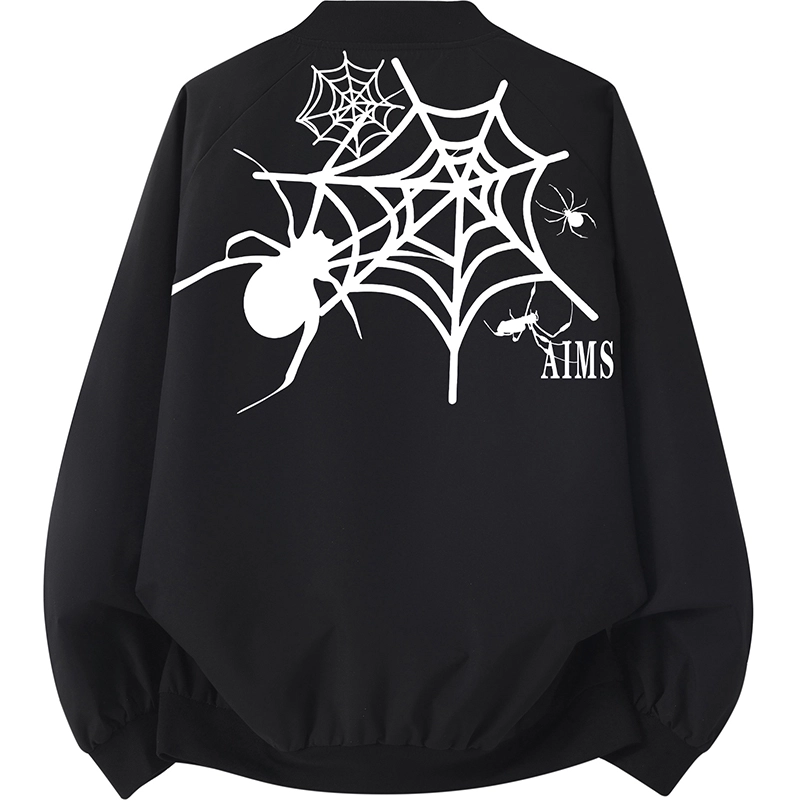 AIMISS Logo