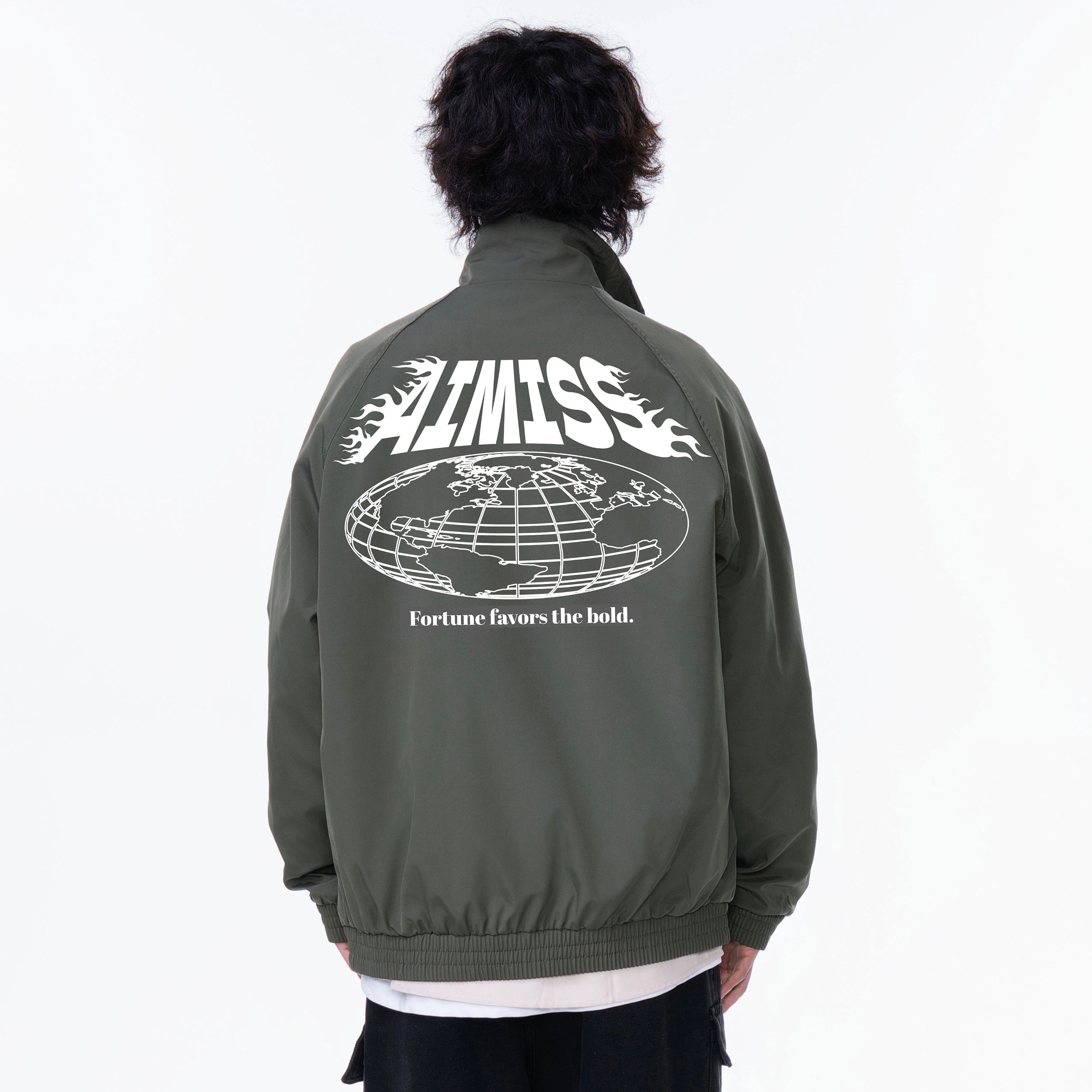 AIMISS Logo