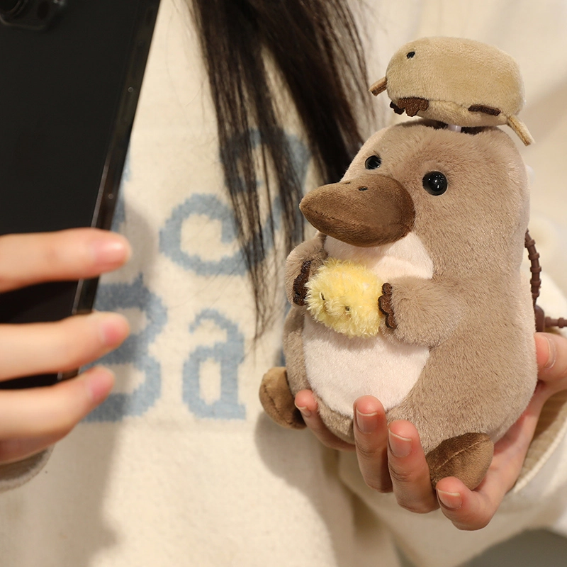 15cm