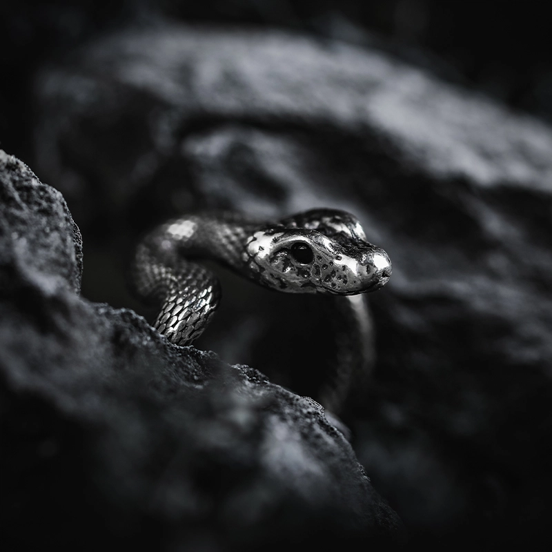 GUXI Dark World 925