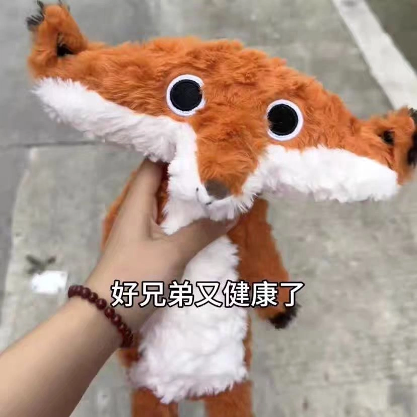 40cm