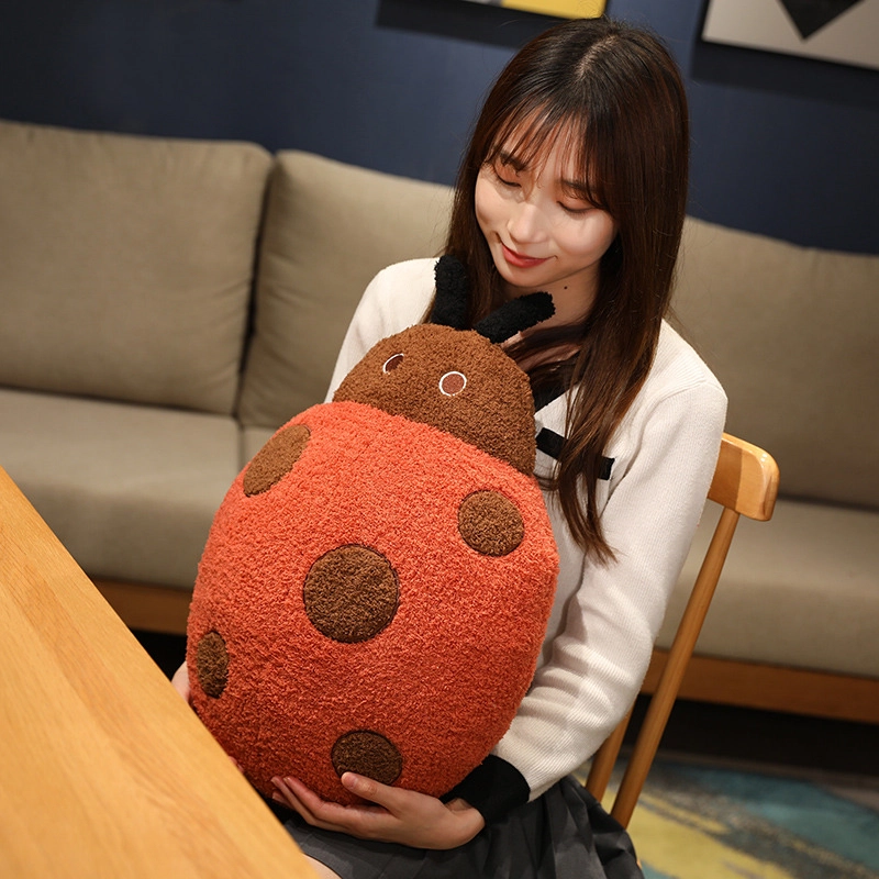 50cm55cm