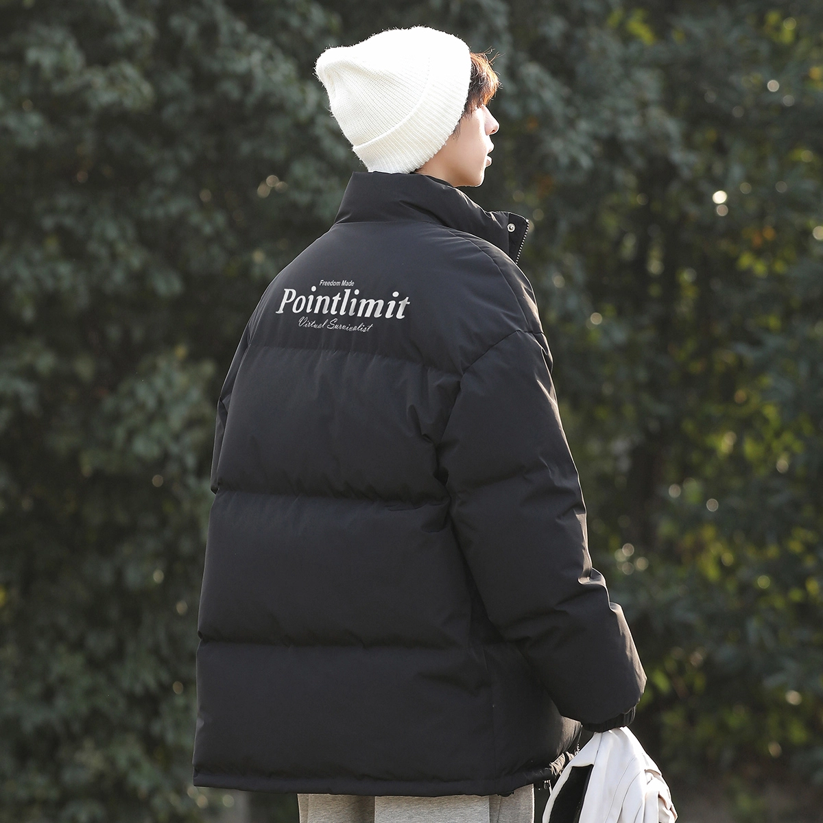 POINTLIMIT FE24 Logo