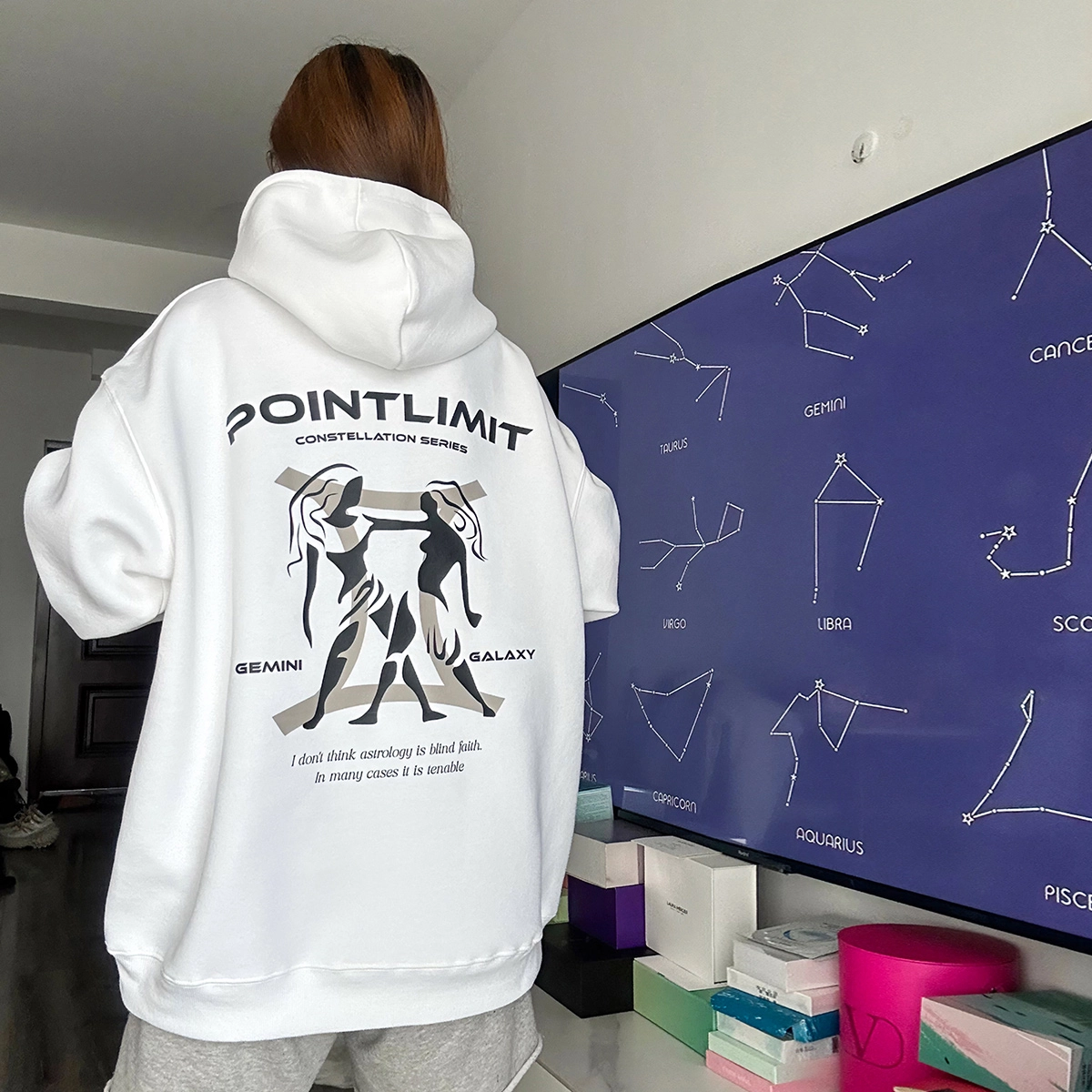 POINTLIMIT Logo