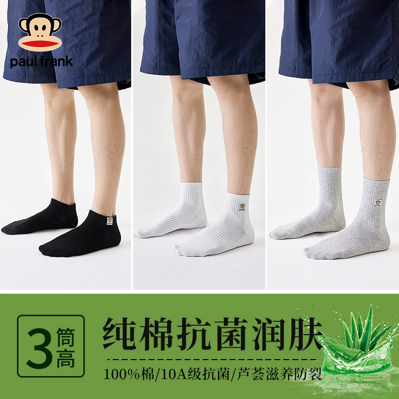 PAUL FRANK 5