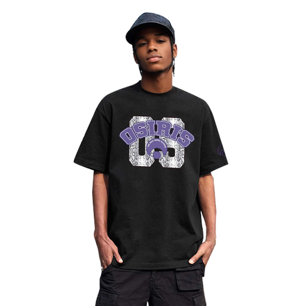 OSIRIS logoT
