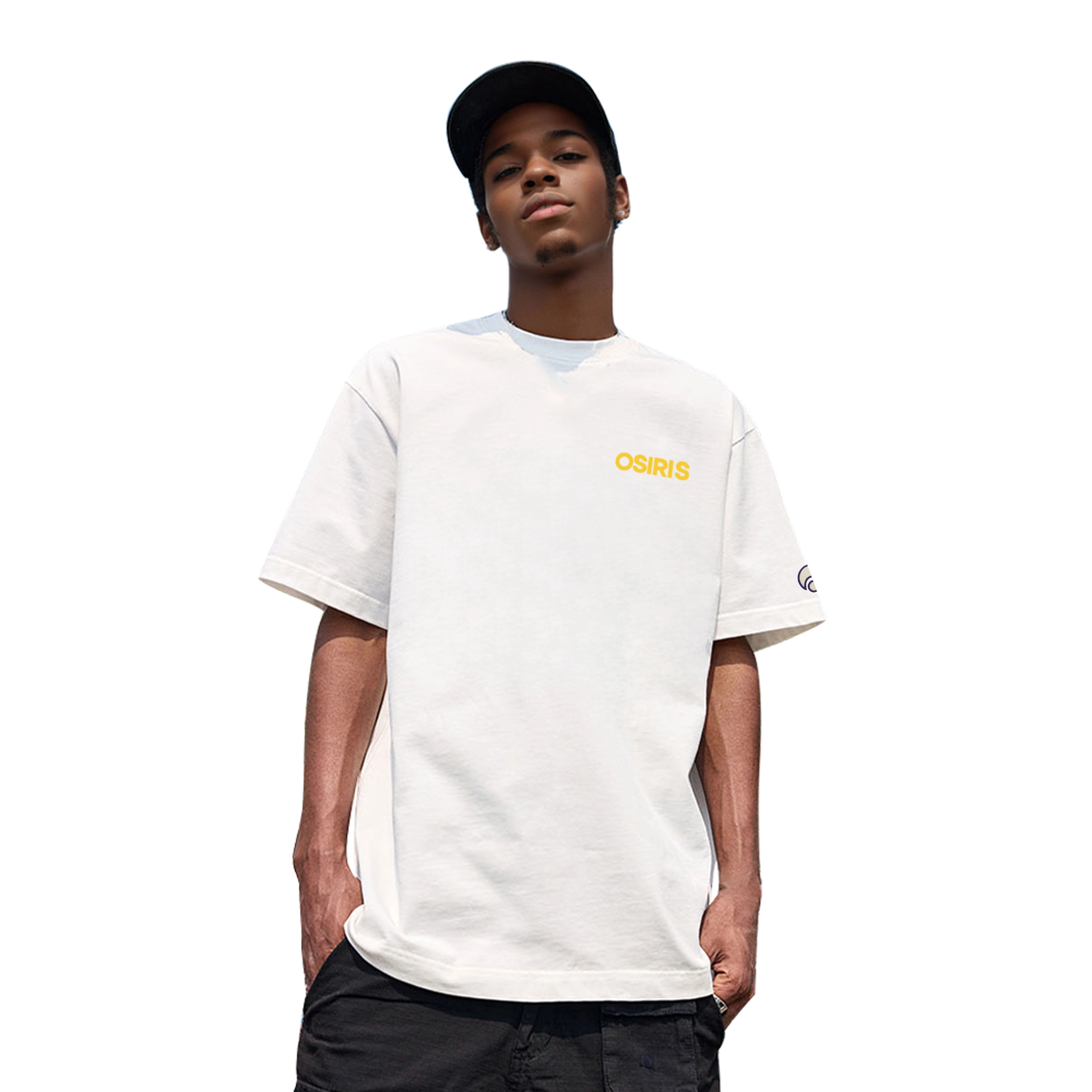 OSIRIS logo3DT