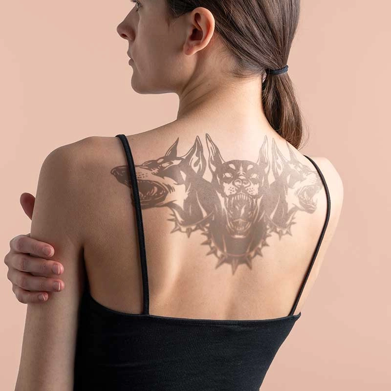 ins 280*150mm