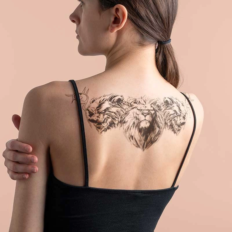 ins 280*150mm