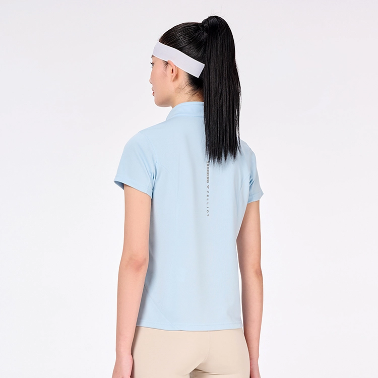 PELLIOT T