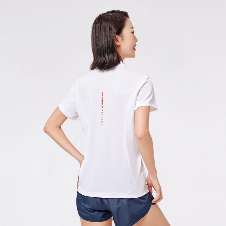 PELLIOT T