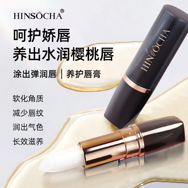 HINSOCHA 01