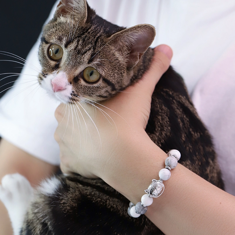 PEACE CAT
