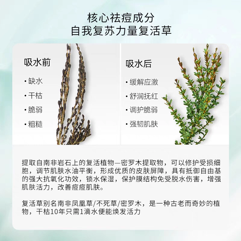 倾龄 复活草祛痘修护补水保湿舒缓面膜 滋润 多种肤质