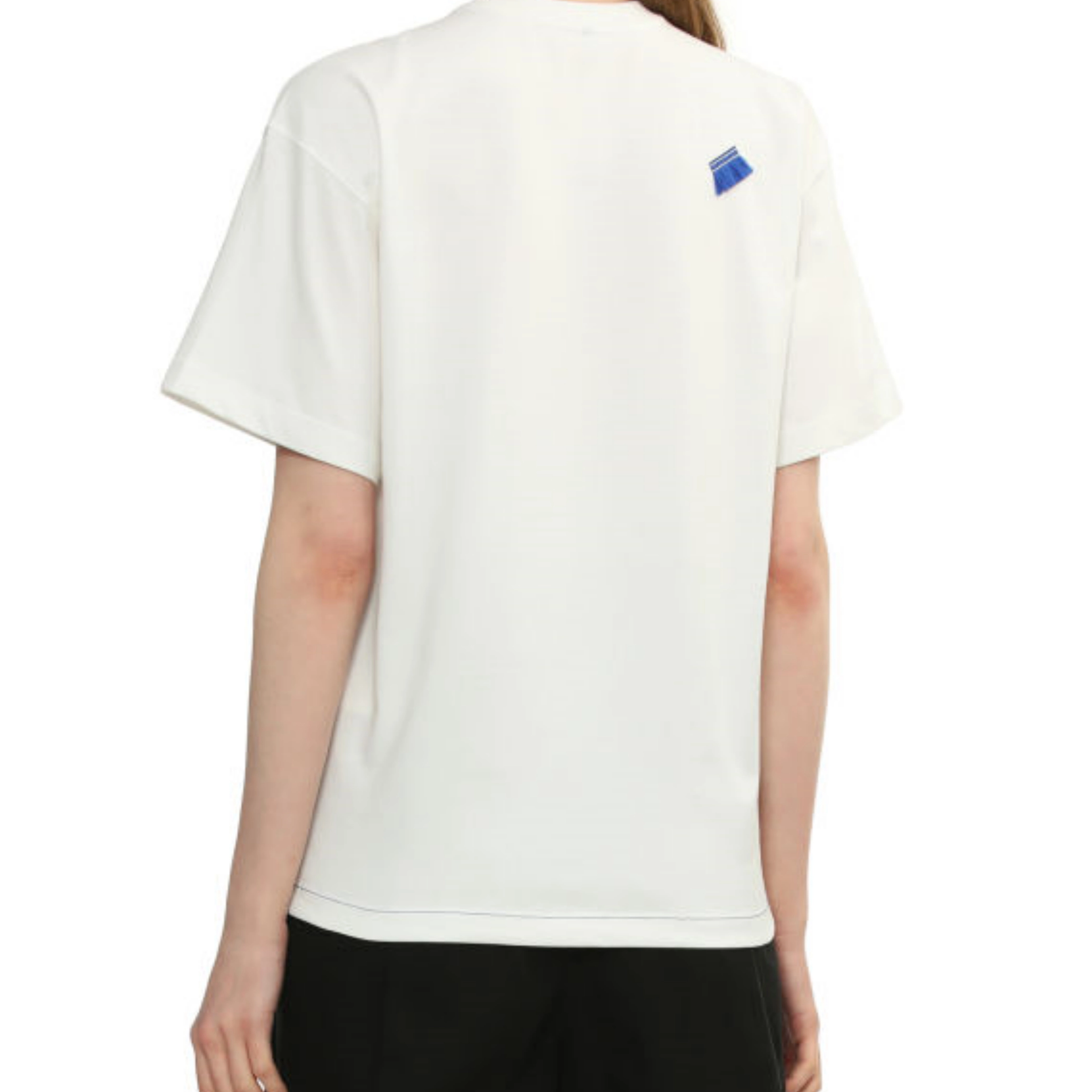 ADER ERROR T