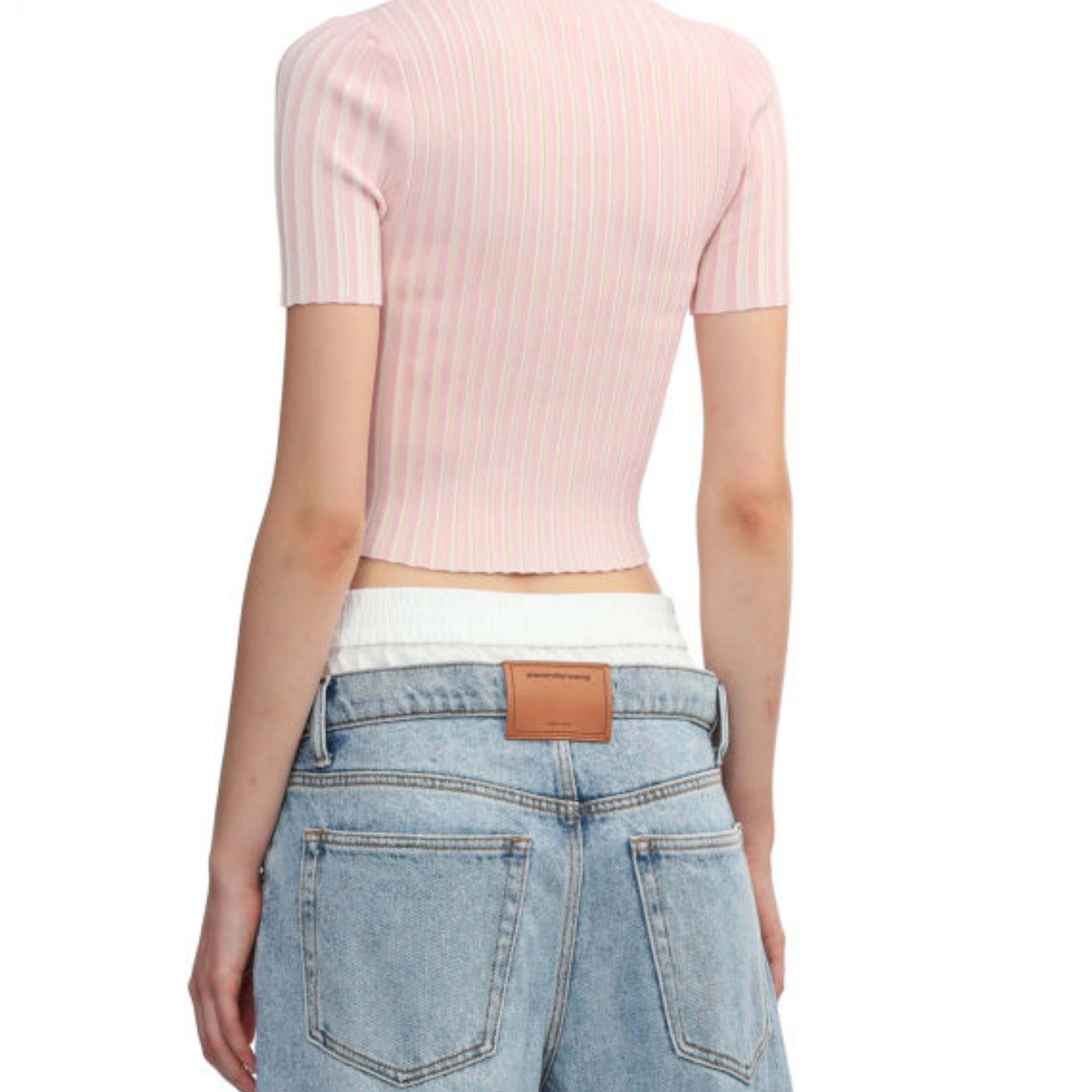 alexander wang T