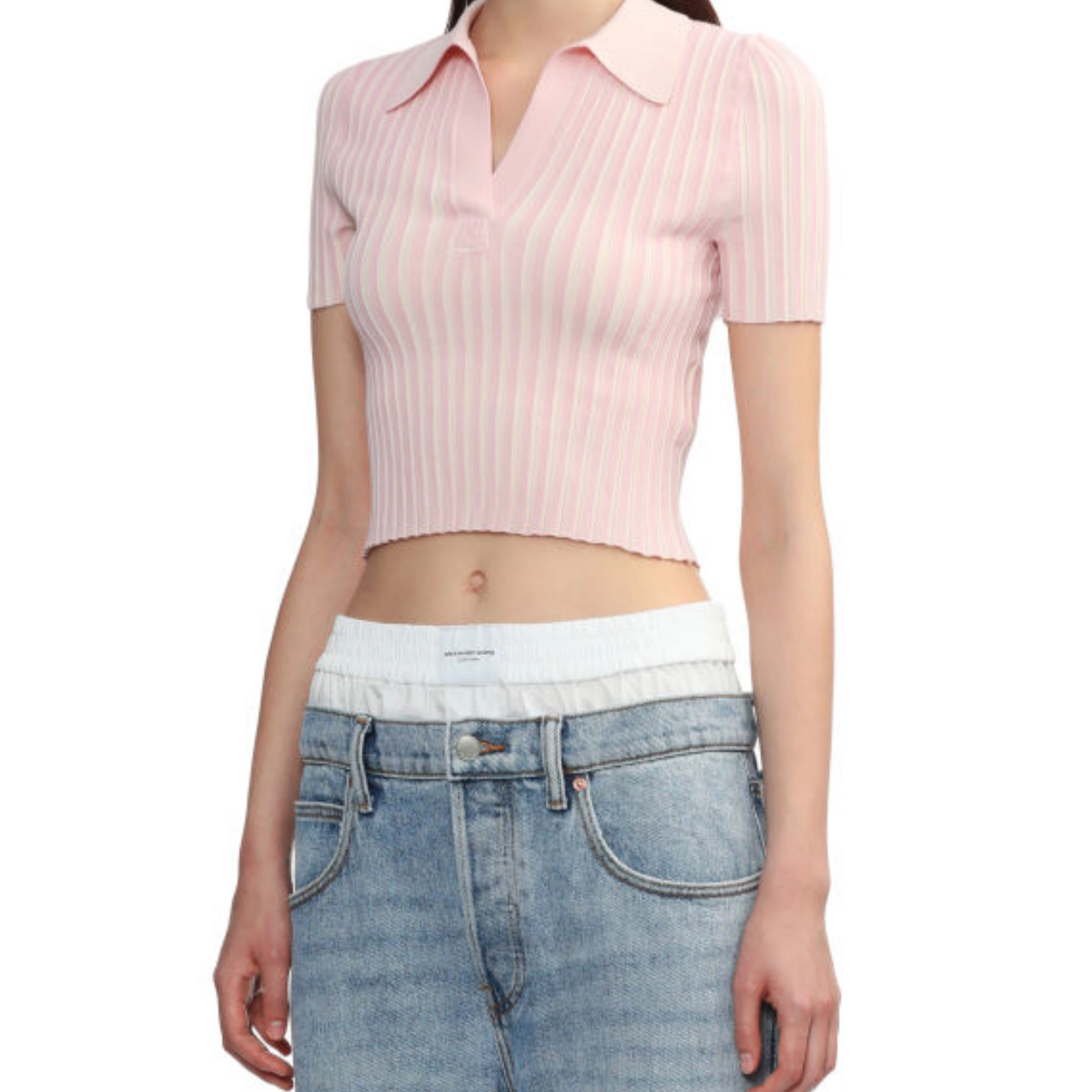 alexander wang T
