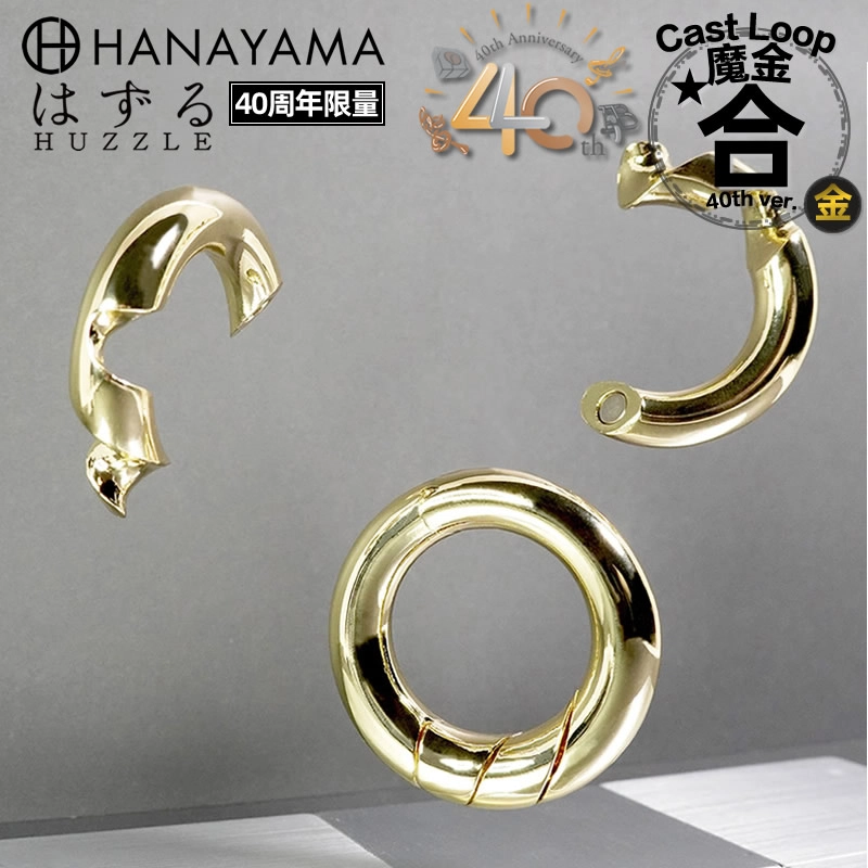 HANAYAMA 40 Puzzle