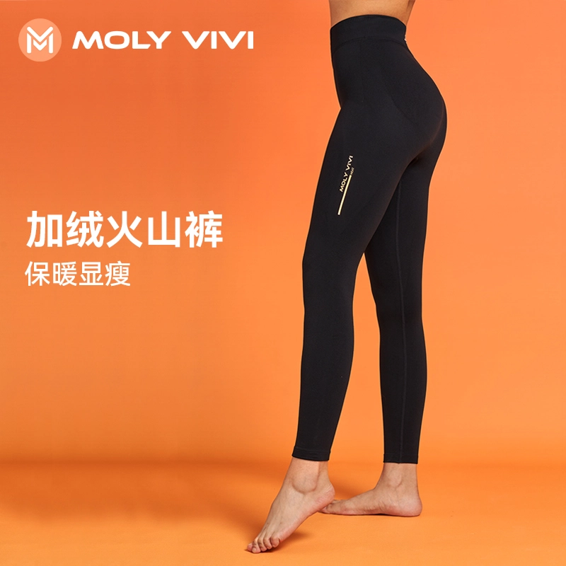 MOLY VIVI 2024