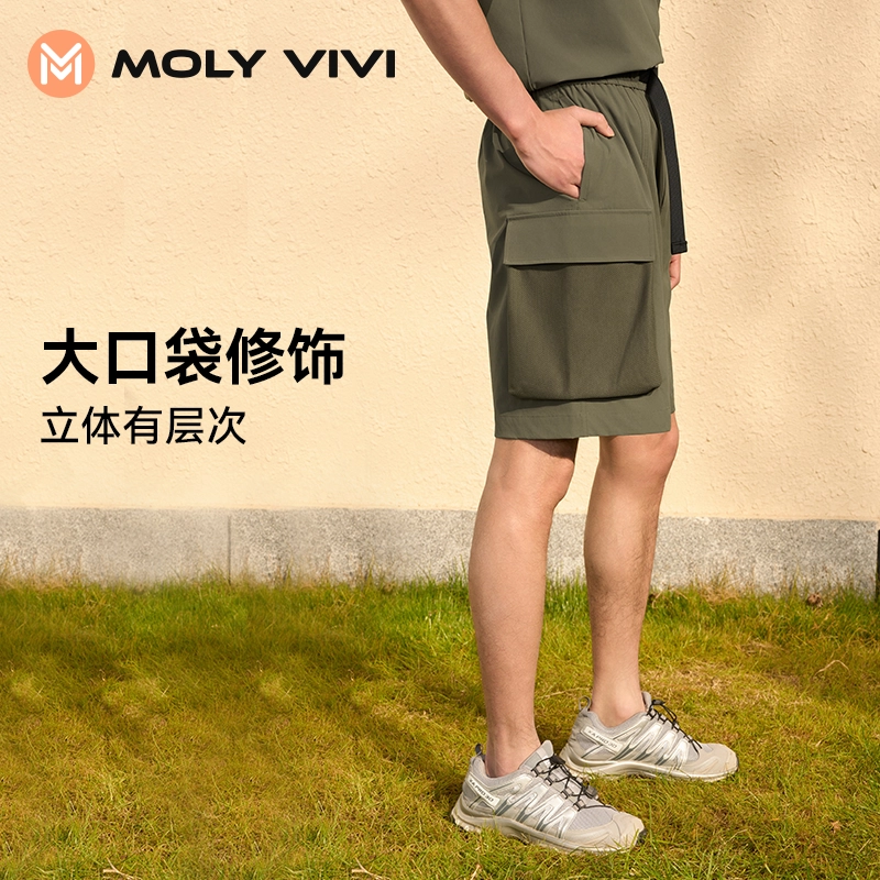 MOLY VIVI 5 2024