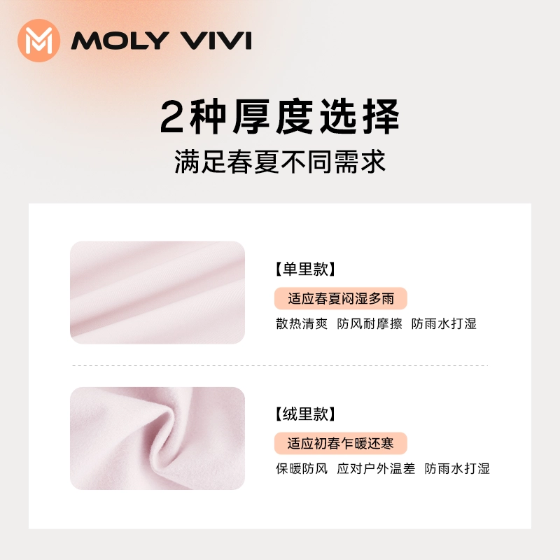 MOLY VIVI 2024