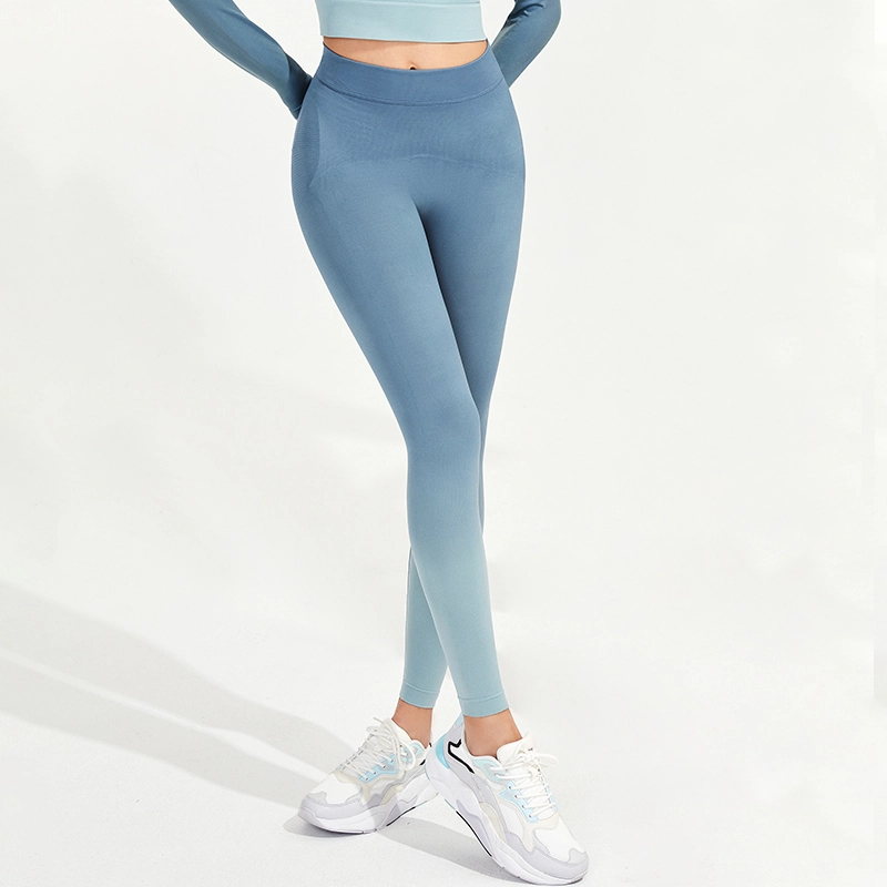MOLY VIVI