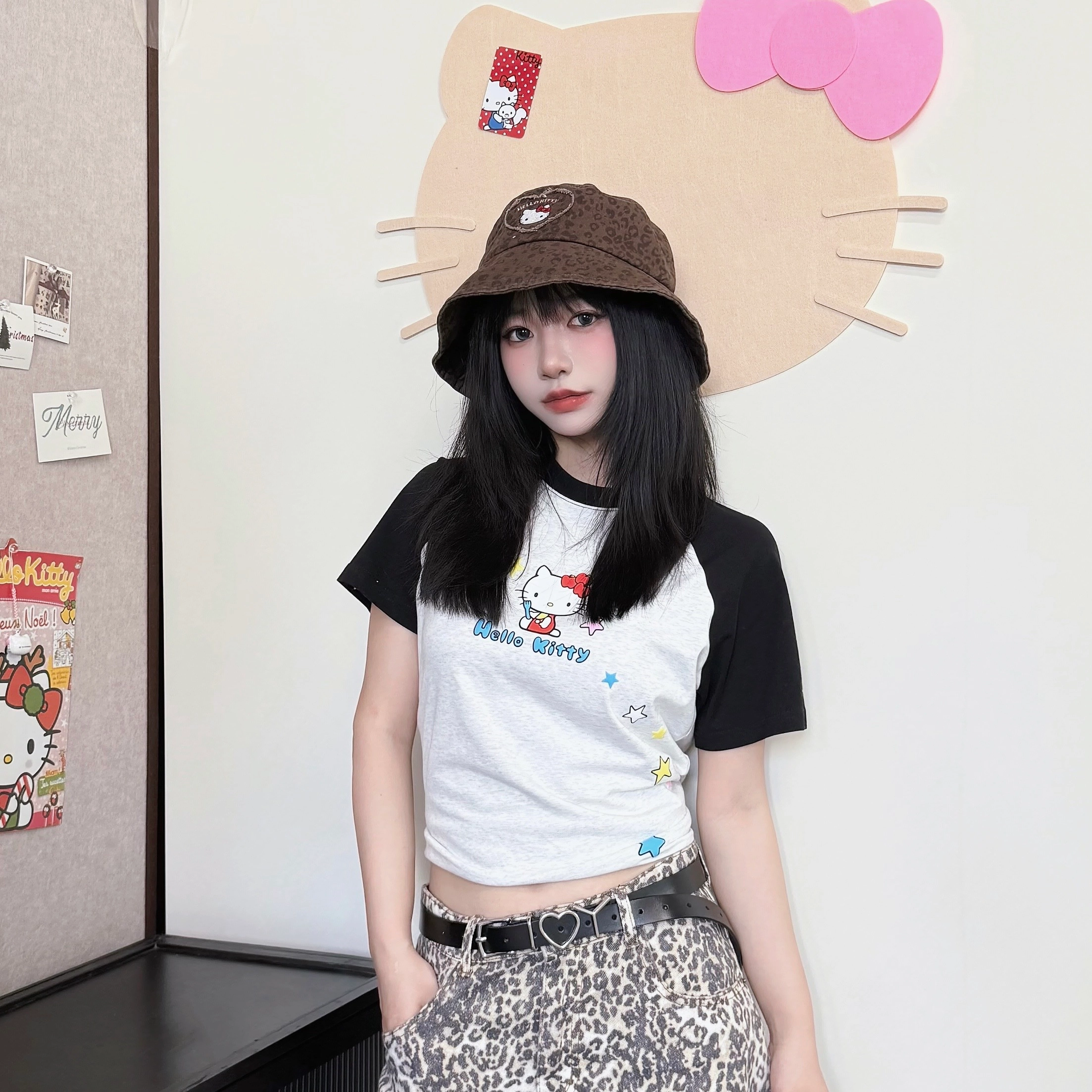 SanrioxHello Kitty