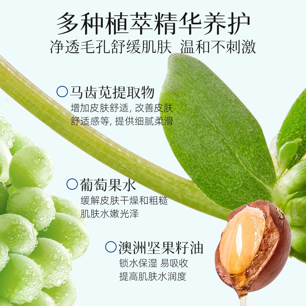 雪玲妃  果蔬毛孔透嫩洁肤膏按摩膏 深层清洁