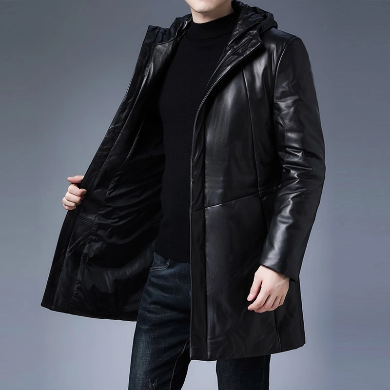 PIERRE CARDIN