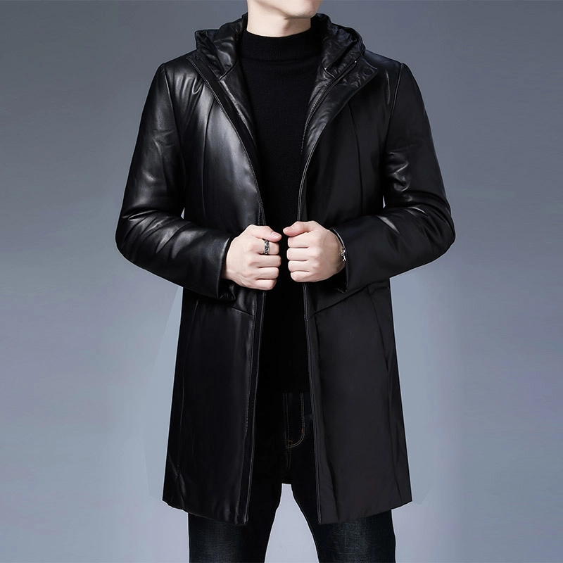PIERRE CARDIN