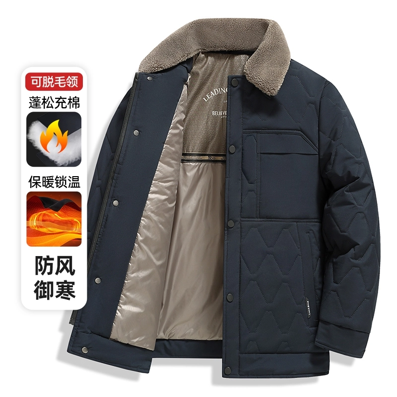 PIERRE CARDIN 2025