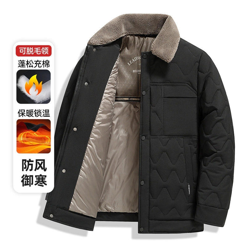 PIERRE CARDIN 2025