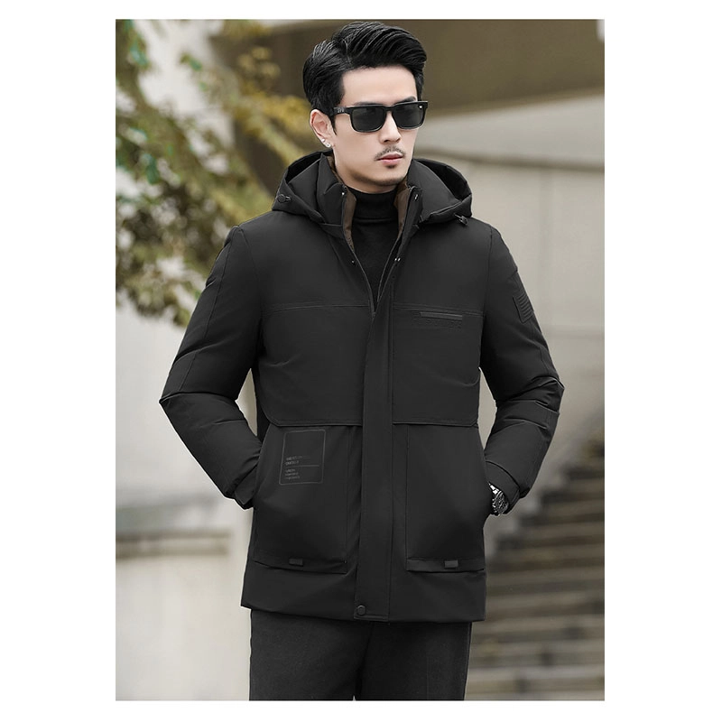 PIERRE CARDIN 2025