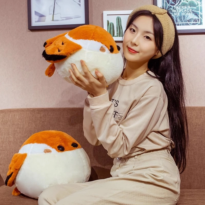 2530cm