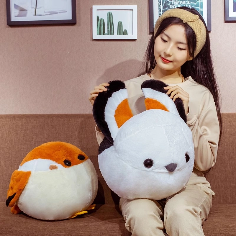 2530cm
