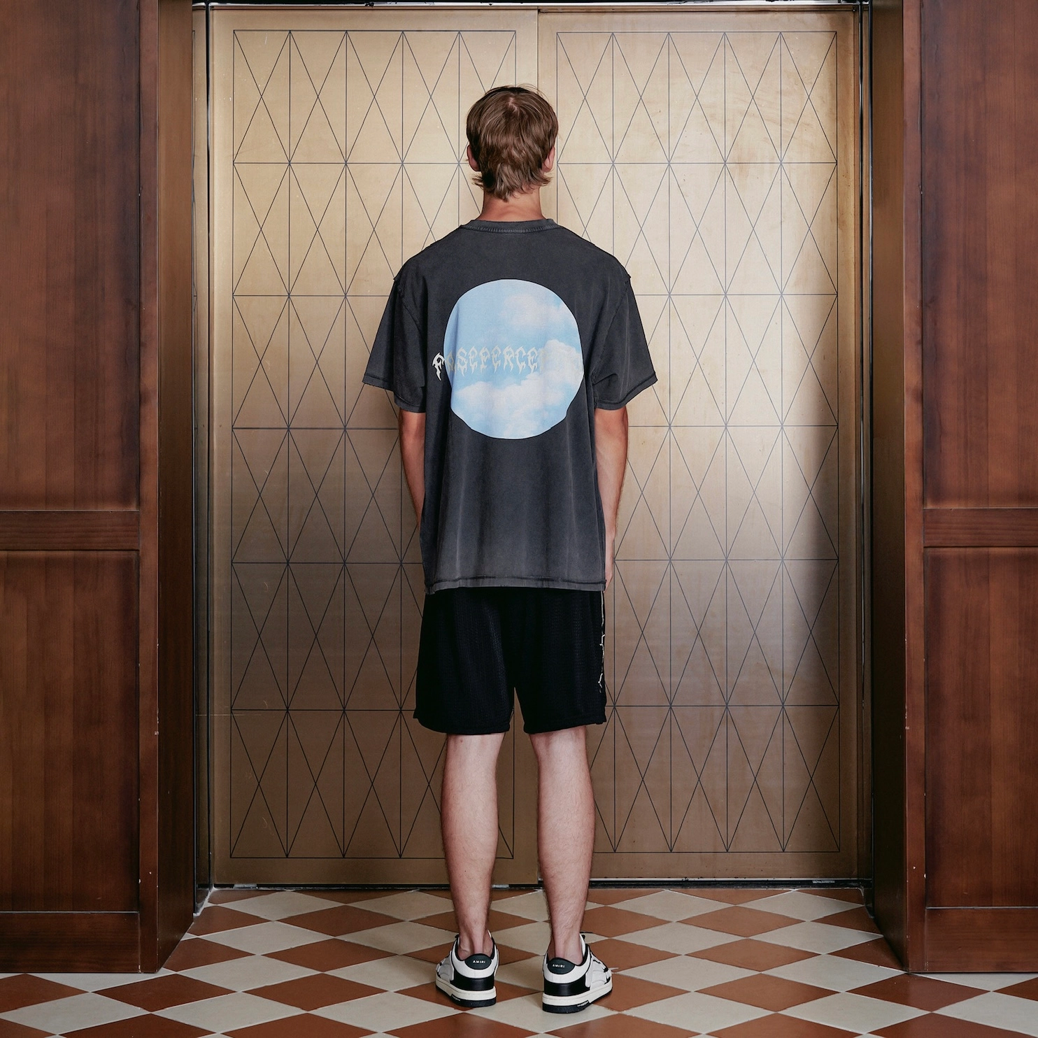 False Perception T