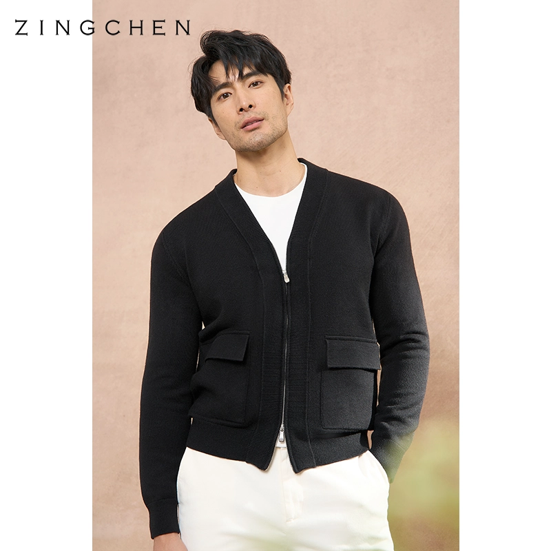 ZINGCHEN V